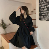 Loose Turn Down Collar Lantern Sleeve Dress