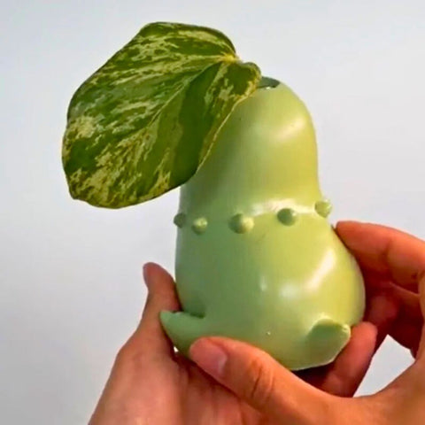 Chikorita Kawaii Planter Pot