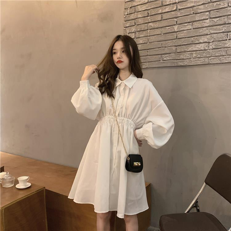 Loose Turn Down Collar Lantern Sleeve Dress