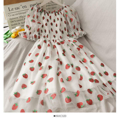 Strawberry Printed Elegant Chiffon Transparent Dress