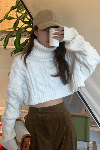 Solid Turtleneck Cropped Sweater