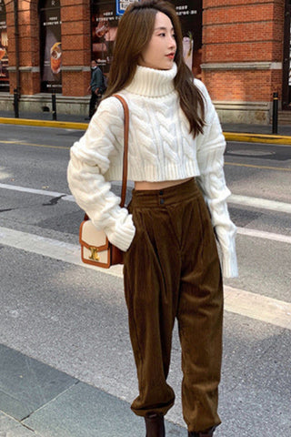 Solid Turtleneck Cropped Sweater