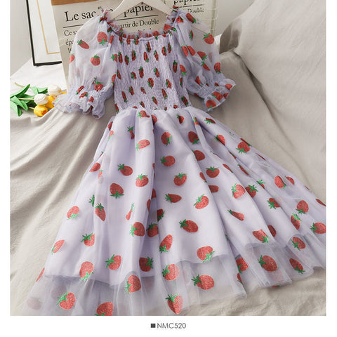 Strawberry Printed Elegant Chiffon Transparent Dress