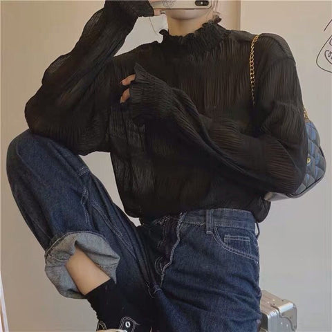 Long Sleeve High Neck Transparent Blouse Shirt