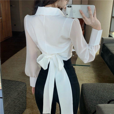 Long Sleeve Lapel Collar with Cute Bow Blouse Shirt
