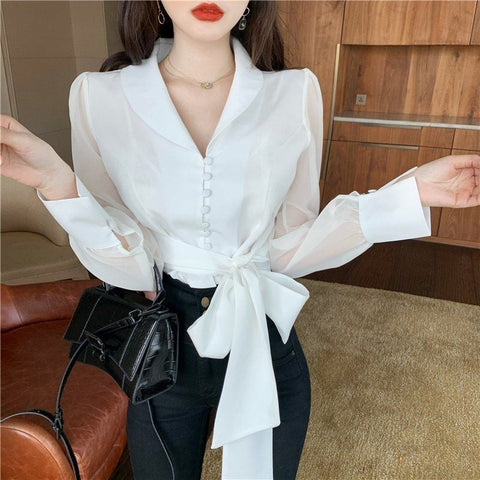 Long Sleeve Lapel Collar with Cute Bow Blouse Shirt