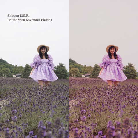 Lavender Fields Preset