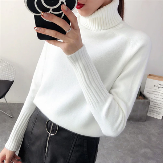 Cashmere Turtleneck Knitted Sweater