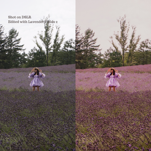 Lavender Fields Preset