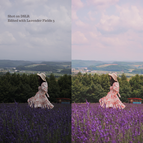 Lavender Fields Preset