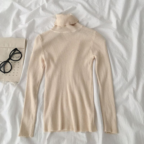 Basic Turtleneck Sweater