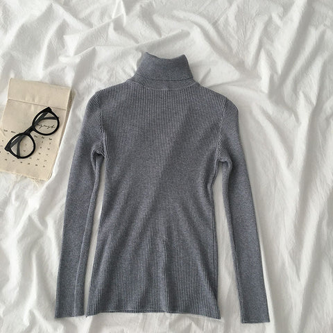 Basic Turtleneck Sweater