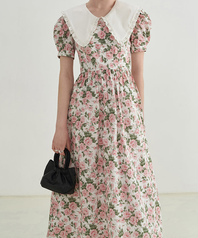 Rose Tea Peter Pan Dress