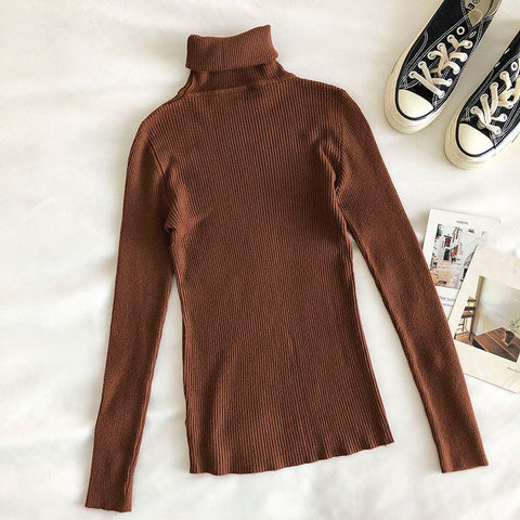 Basic Turtleneck Sweater