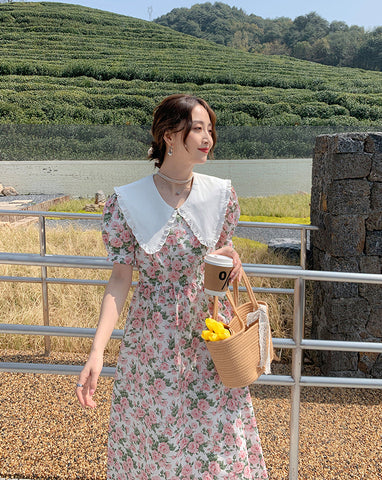 Rose Tea Peter Pan Dress