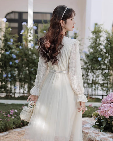 Midikleid aus Spitze und Tüll mit V-Ausschnitt
