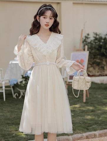Midikleid aus Spitze und Tüll mit V-Ausschnitt