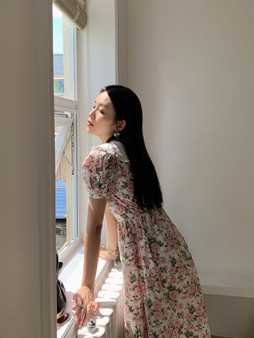 Rose Tea Peter Pan Dress