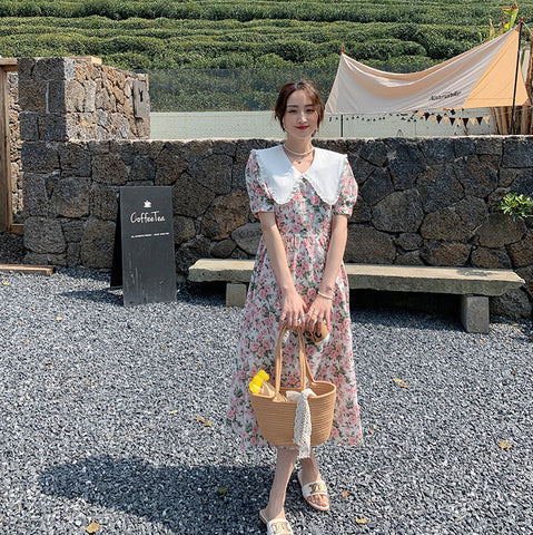 Rose Tea Peter Pan Dress