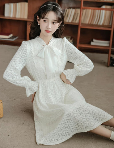 Sheer Lace Layering Dress