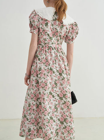 Rose Tea Peter Pan Dress