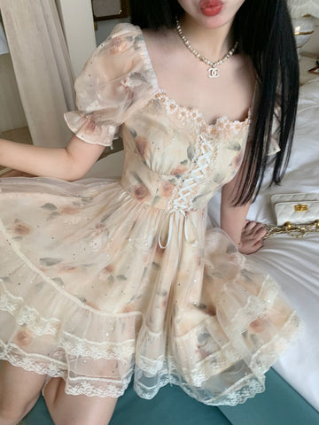 Elegant Floral Pattern Sweet Lace Mini Dress