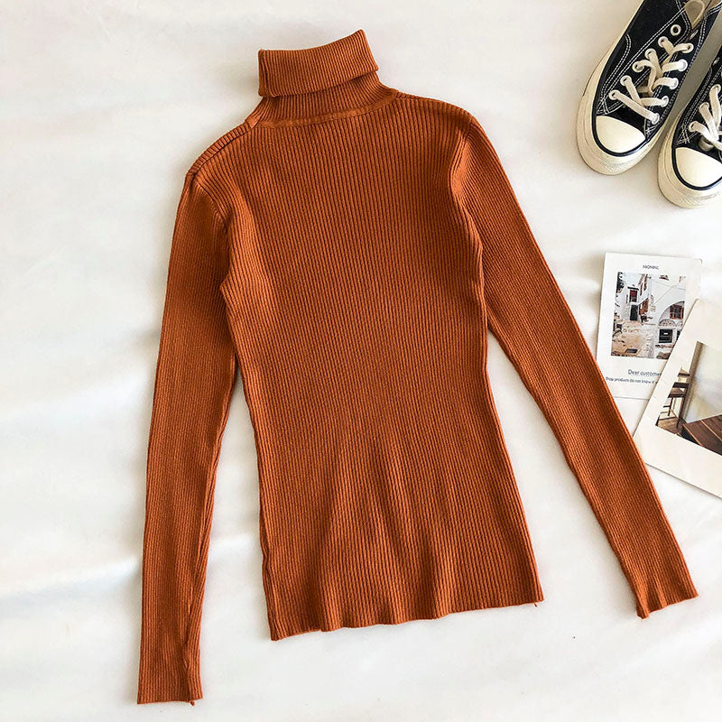 Basic Turtleneck Sweater