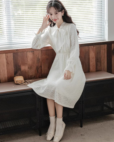 Sheer Lace Layering Dress