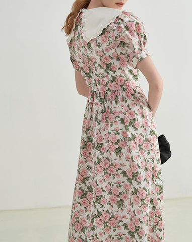 Rose Tea Peter Pan Dress