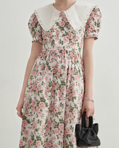 Rose Tea Peter Pan Dress
