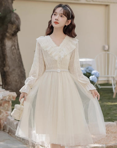 Midikleid aus Spitze und Tüll mit V-Ausschnitt