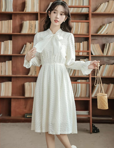 Sheer Lace Layering Dress