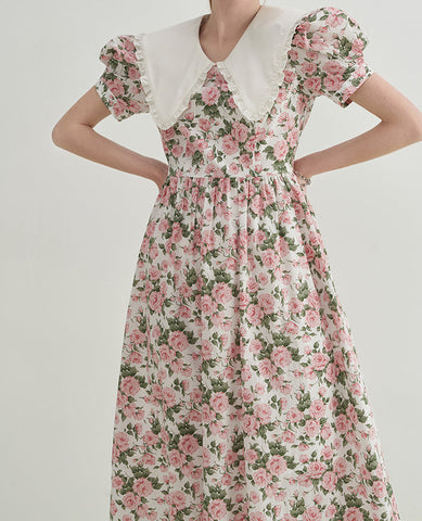 Rose Tea Peter Pan Dress