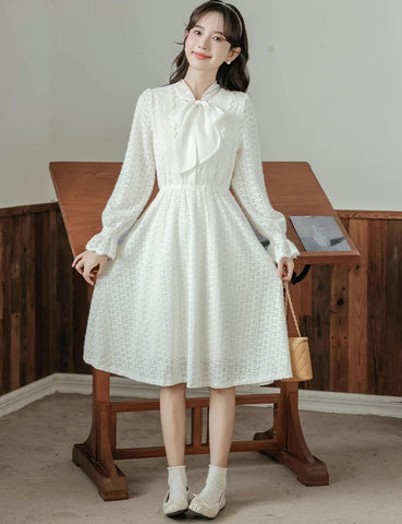 Sheer Lace Layering Dress