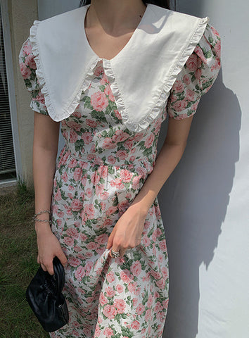 Rose Tea Peter Pan Dress