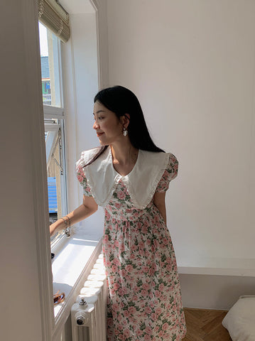 Rose Tea Peter Pan Dress