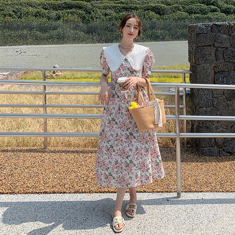 Rose Tea Peter Pan Dress