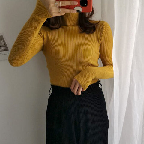 Basic Turtleneck Sweater