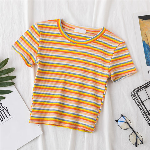 Rainbow Stripe Crop Top