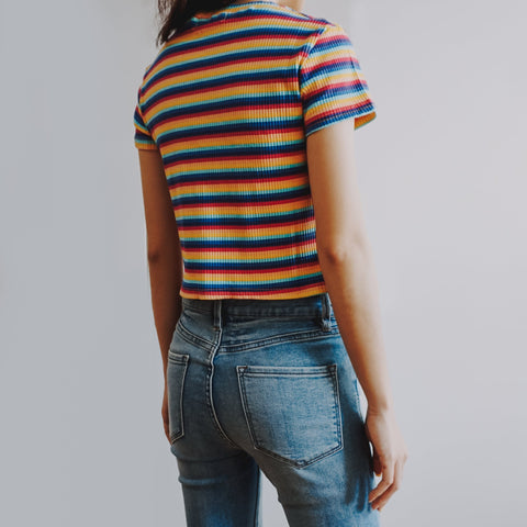 Rainbow Stripe Crop Top