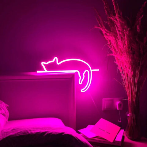 Led Neon Pink Lazy Cat Setup