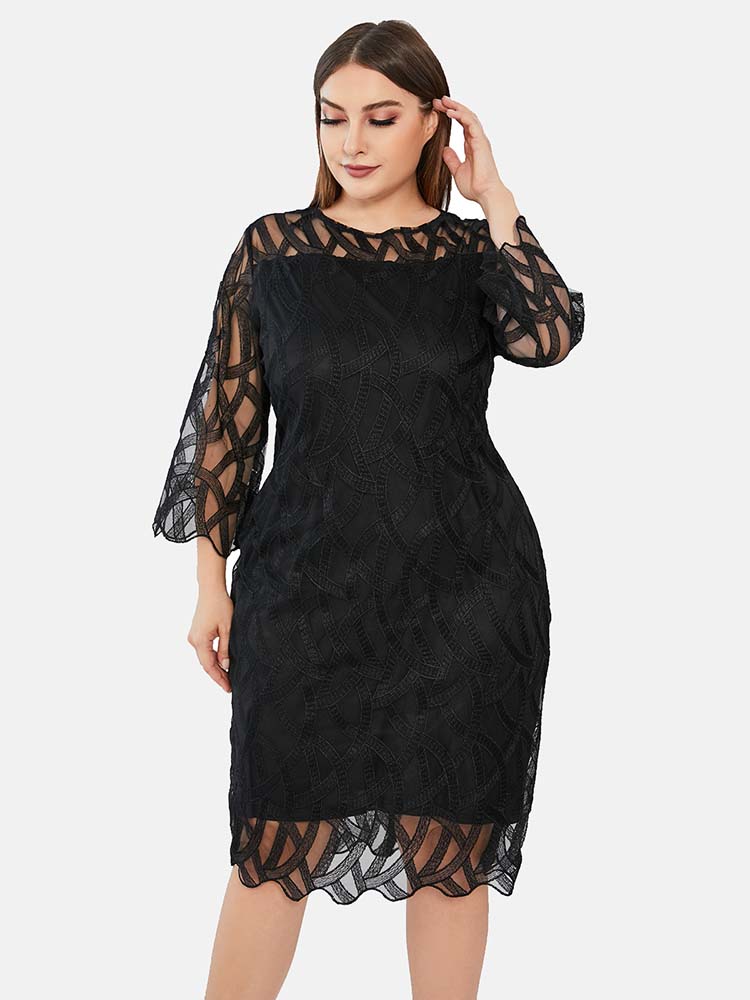 Three Quarter Sleeve Lace Panel Dress