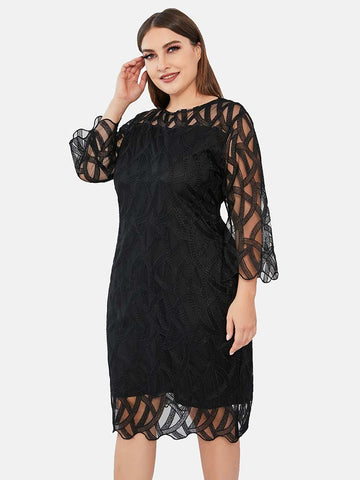 Three Quarter Sleeve Lace Panel Dress