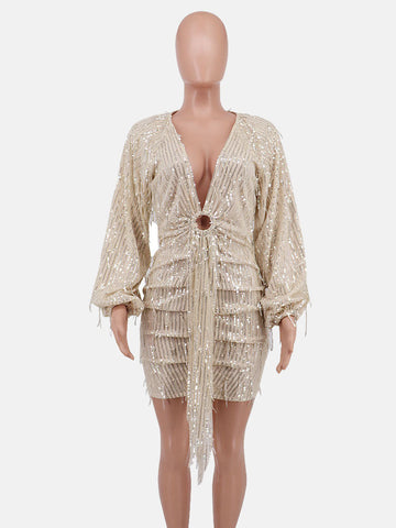 Sequin  Fringe Trim Party Dress