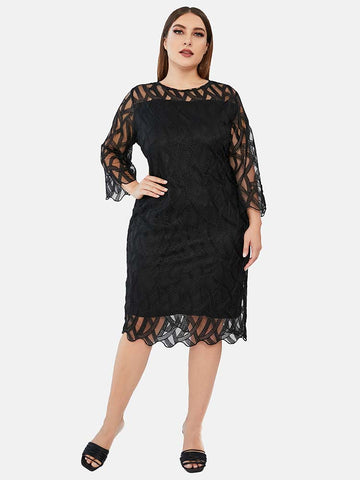 Three Quarter Sleeve Lace Panel Dress