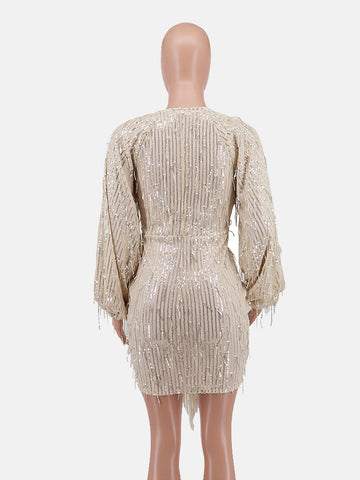 Sequin  Fringe Trim Party Dress