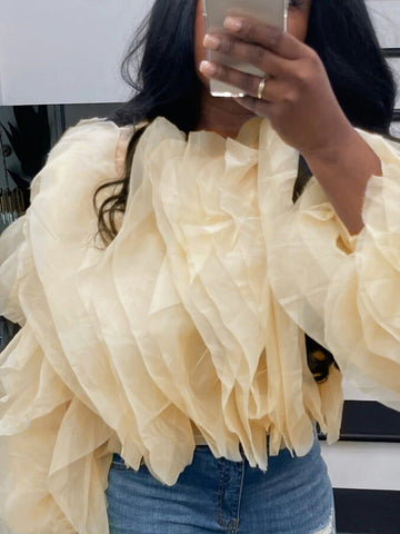 Ruffle Layered Sheer Chiffon Top