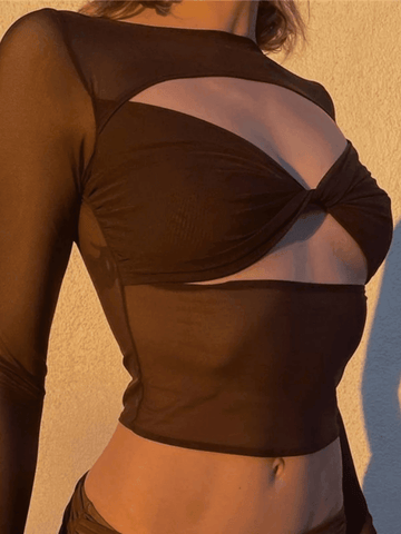 Cutout Sheer Mesh Long Sleeve Top