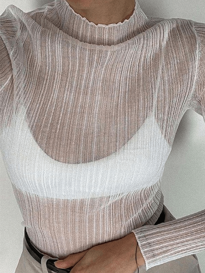 High Neck Semi Sheer Knit Top