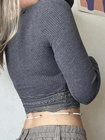 Lace Paneled Long Sleeve Crop Top